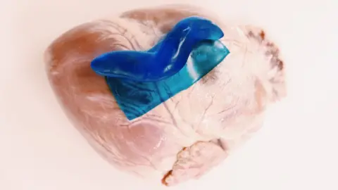 J Li Slug-inspired adhesive