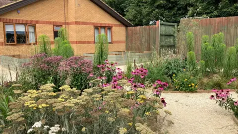 BBC Completed sensory garden