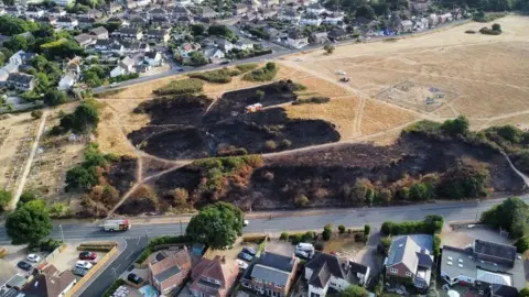 Renoufdesign.co.uk Pennington Common