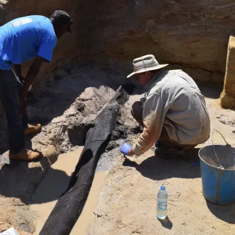 Geoff Duller Archaeologists dig at the site in Zambia