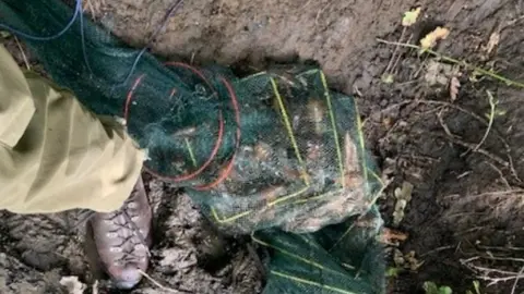 Environment Agency trap