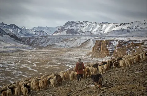 Andrew Newey A shepherdess with her goats travels across a mountainous region