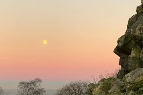 skybluemoss Wolf Moon in Loughborough