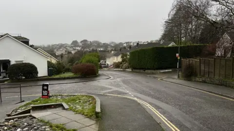 BBC Upland Crescent and Beechwood Gardens