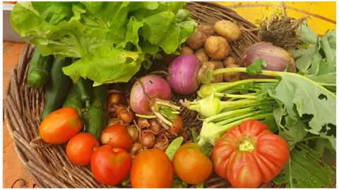 Riverside Community Garden Project Fruit and vegetables