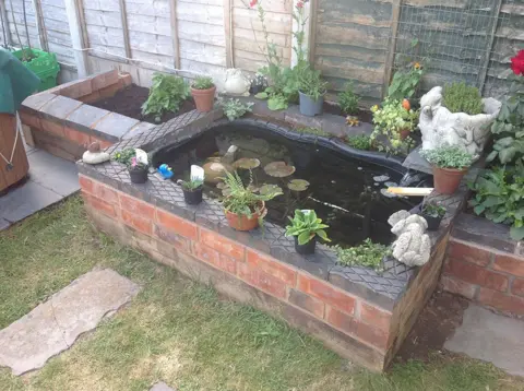 Pete Hedges Pond in a garden