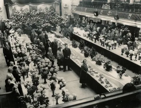 Contributed Horticultural show at The Baths, Ipswich