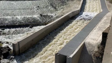 The Don Catchment Rivers Trust Masbrough Weir