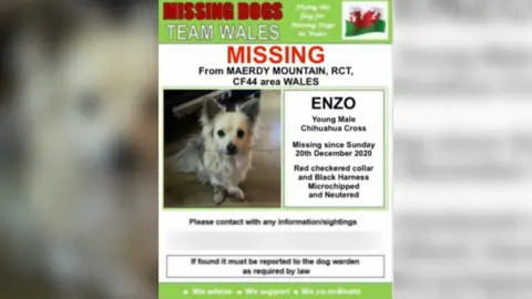 Missing Dogs Team Wales Missing poster for Enzo