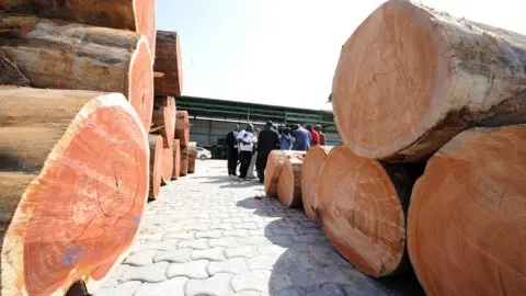 AFP Wood at Gabonese port