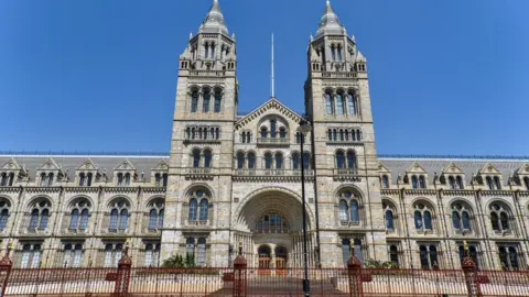 Getty Images Natural History Museum