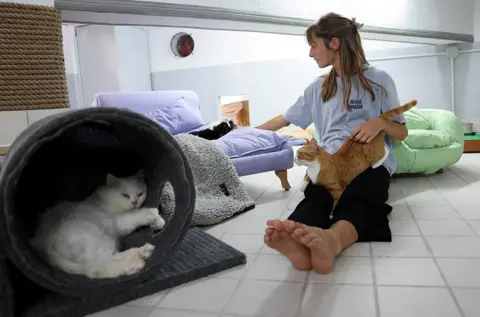 Emilie Madi / Reuters Adrienne Hurtut surrounded by rescued cats