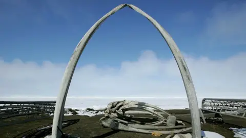 Getty Images An arch made from bowhead whale bones, looking out over an ice field