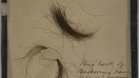 Kevin Brown/University of Cambridge Ludwig van Beethoven's hair