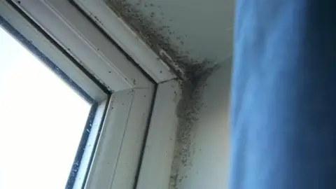 Mould in a window corner