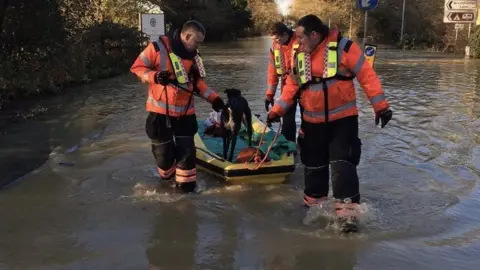 Cambs Fire and Rescue Service Dog rescue