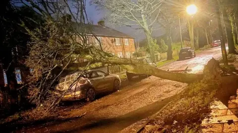 Tameside Correspondent tree fallen on a car