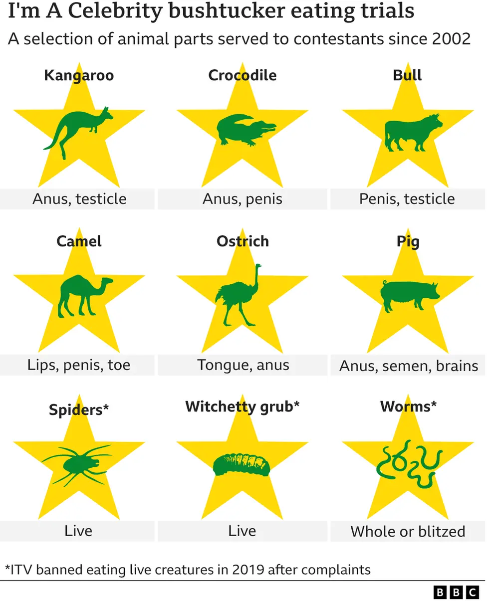 A graphic showing some examples of the animal parts that campmates have been seen eating on I'm A Celebrity since 2002