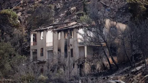 Reuters romitello near palermo