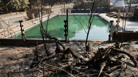 Reuters Charred trees near a swimming pool in France