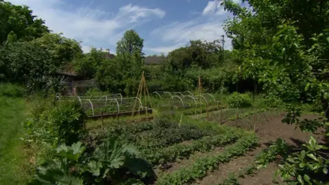 Isleworth allotments