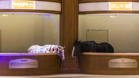 Aleksandar Plavevski/ EPA Horses stand on display at The Museum of Horse Culture in Jiangyin city.