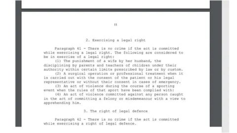  Iraqi penal code A screengrab of the Iraqi penal code