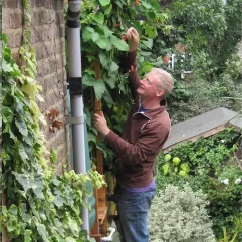 Mark Ridsdill Smith Mark Ridsdill-Smith up a ladder harvesting runner beans