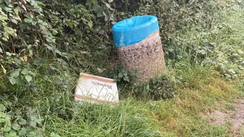 Wealden District Council  Pig remains