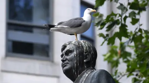 Wales News Service Photo of a seagull on top of the statue, before the spikes were installed.