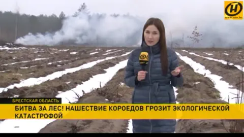 ONT TV Belarus state TV report on bark beetle forest infestation
