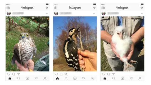 Jim Todd Jim Todd's Instagram posts of birds