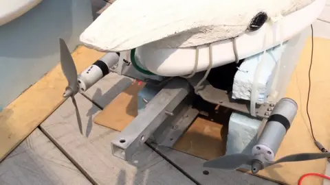 Channel News Asia The rear and underside of one of the robot swans