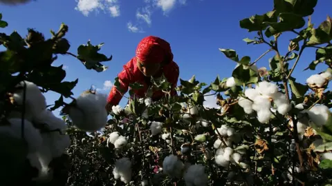 Getty Images Picking cotton in Xinjiang