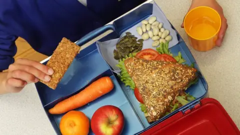 Child eating a healthy school lunch