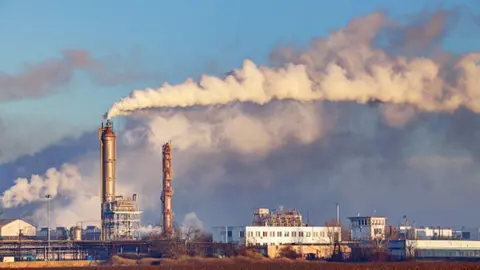 Getty Images India power plant