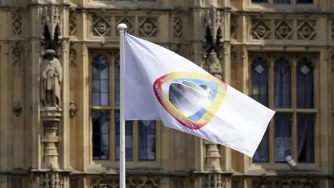 PA Media Windrush flag