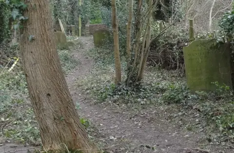 Graham Hollox After clearing