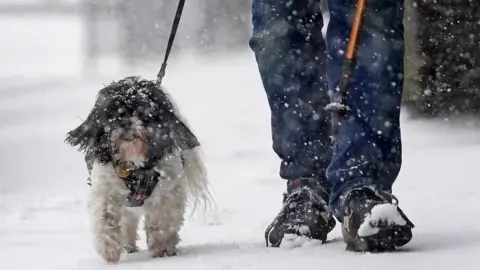 PA Media A man walks dog through a snow flurry in Lenham, Kent