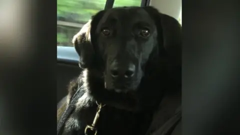 Family photo Guide dog called Unity