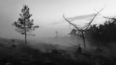 Mike Long/Hereford and Worcester Fire Service Damage shown to country park