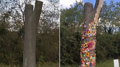 Google / Duston Parish Council Tree of Hope, before and after