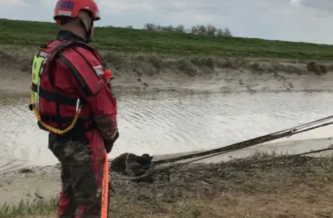 Cambs Fire and Rescue Cow being rescued