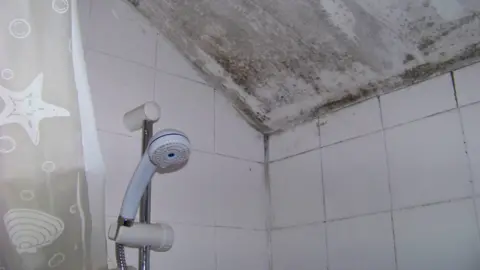 Property Care Association Mould in a bathroom
