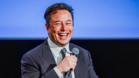 Getty Images Elon Musk