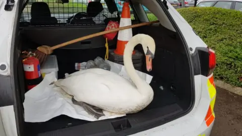 BCH Road Police Swan in police car