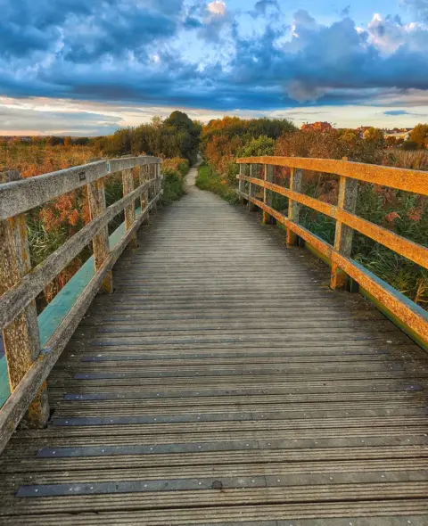 Ross Gooding A bridge with trees in the distance