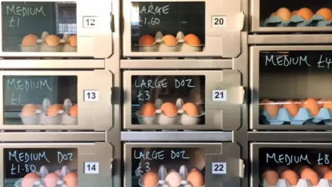 Annabel Barber Egg vending machine.