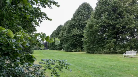 RHS View of lime trees by the A3