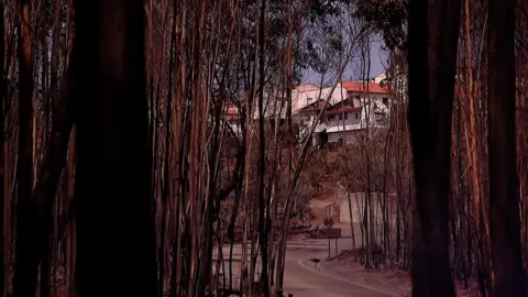 Juan Dominguez, BBC Charred trees on the edge of Varzeas